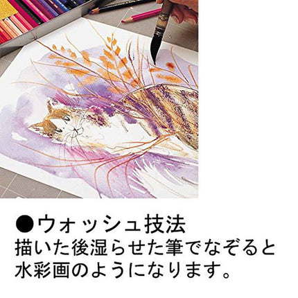 Caran D'ache Supracolor Metal Box Set Of 18 (3888.318)