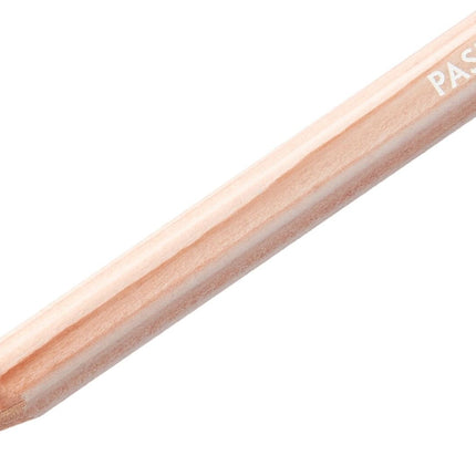 Caran D'ache Set of 12 Pastel Pencils (788.312)