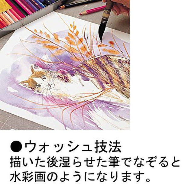 Caran D'ache Supracolor Metal Box Set Of 18 (3888.318)